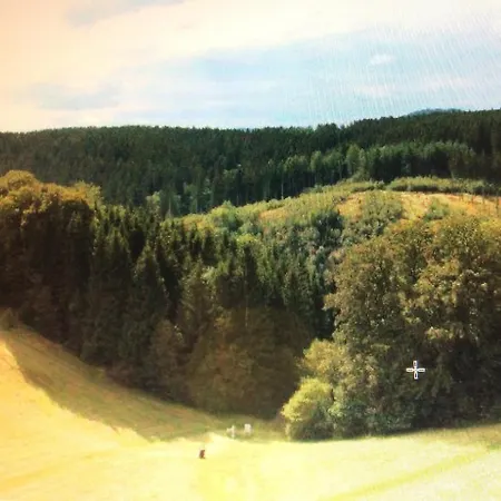 Romy * Braunlage