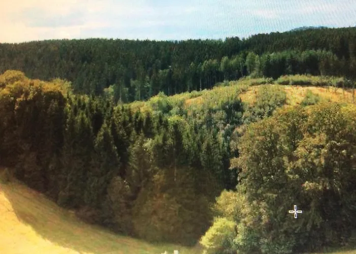 Romy * 布劳恩拉格